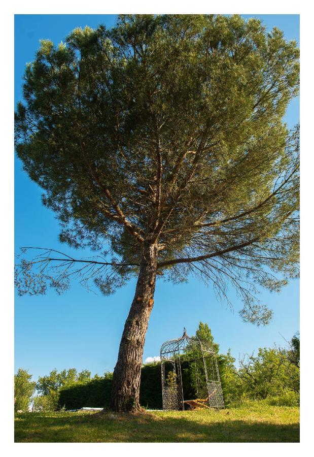 Chambre soignée et accueillante à la campagne - Ch bleue L'Honor-de-Cos Extérieur photo